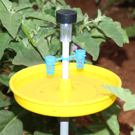 Insect Traps - Harmony Ecotech Pvt. Ltd.